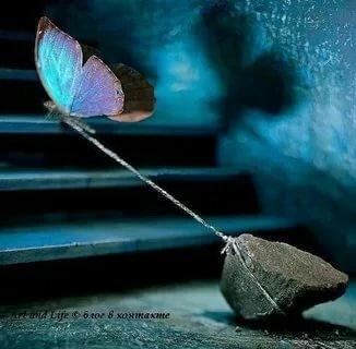 Камни и бабочки…