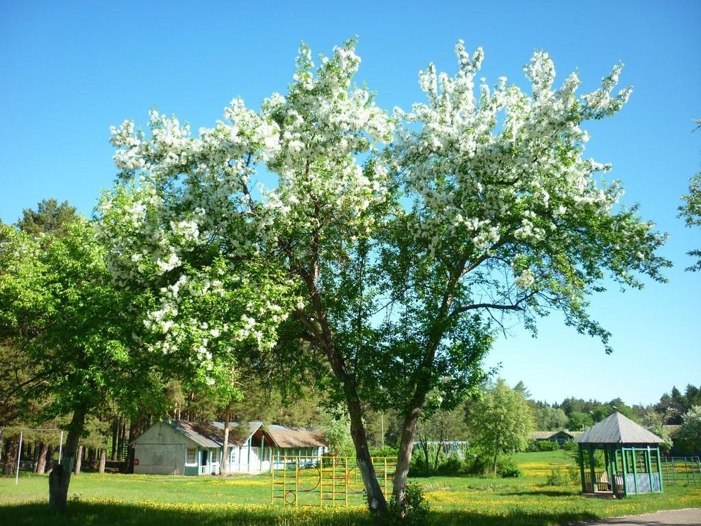 Только на время