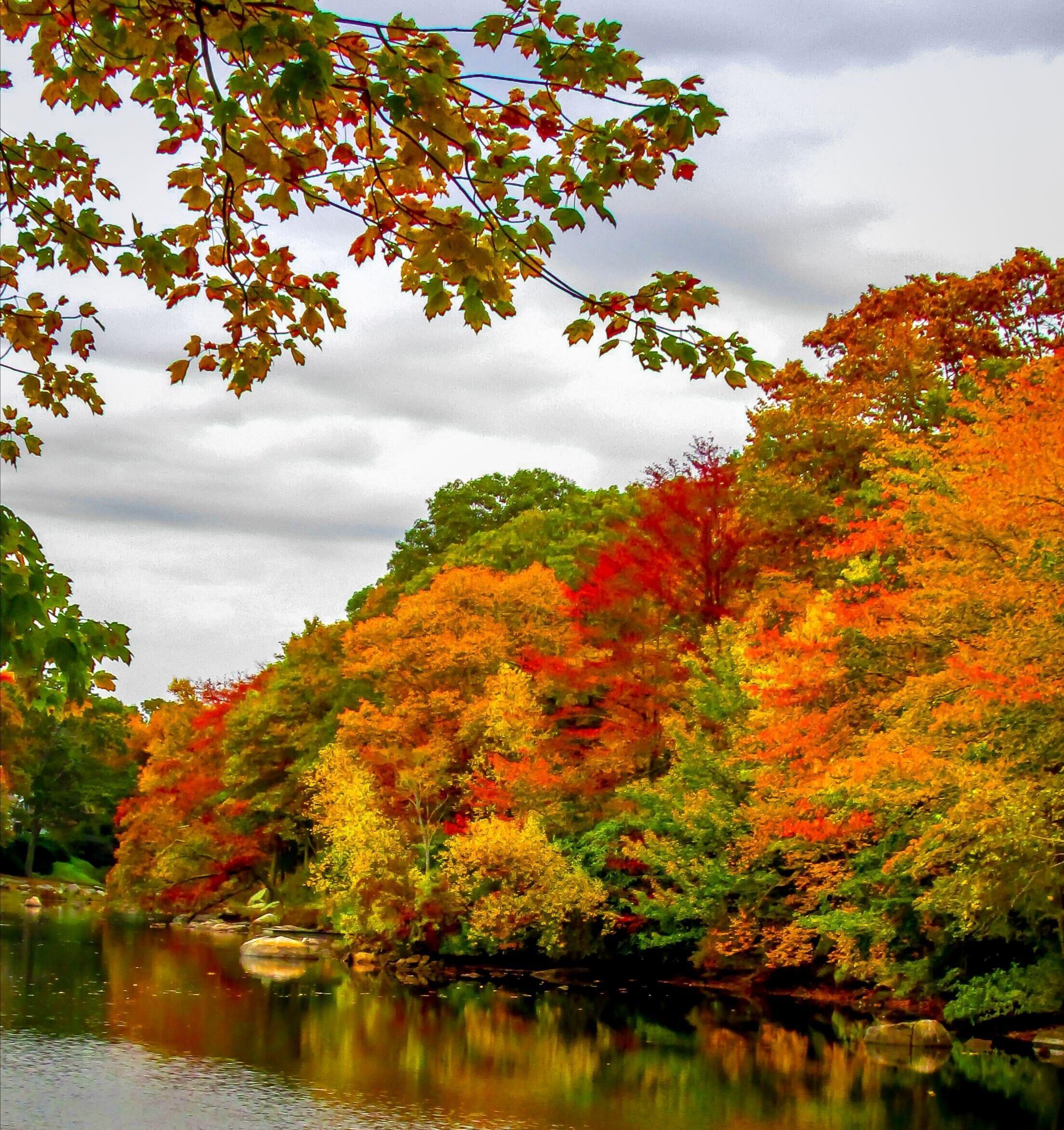 Осень пришла с Сентябрём