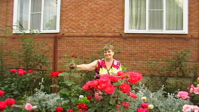 Я никогда тебе цветы не покупал.