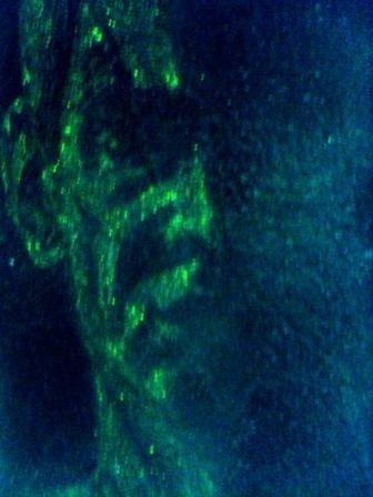 Чёрно-белое.