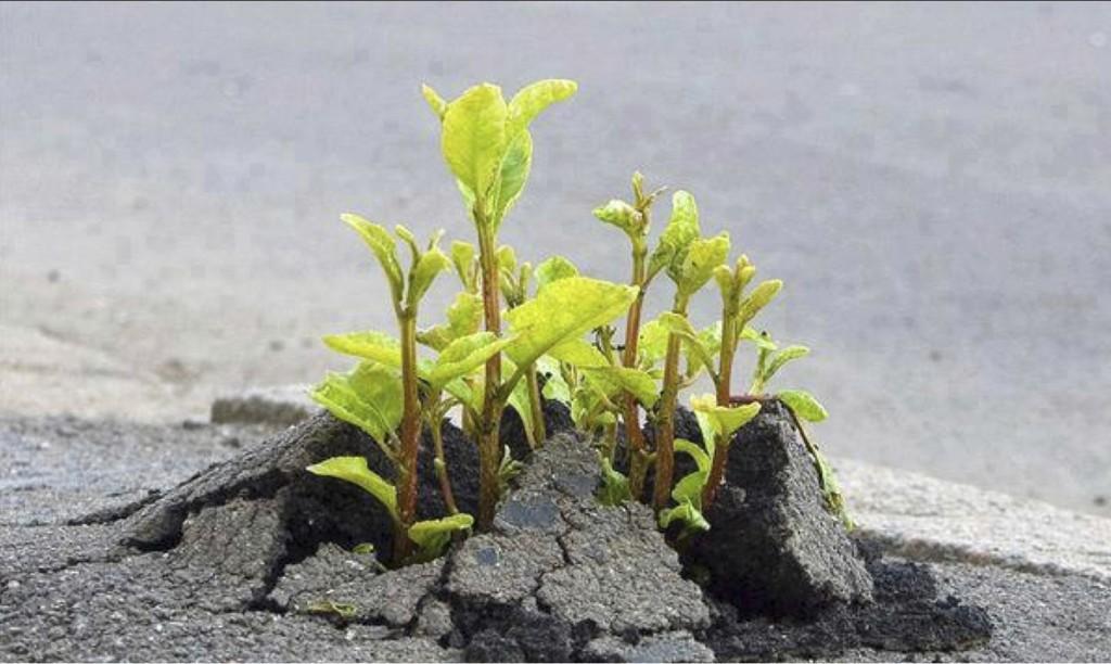 Всегда найдется время,силы..