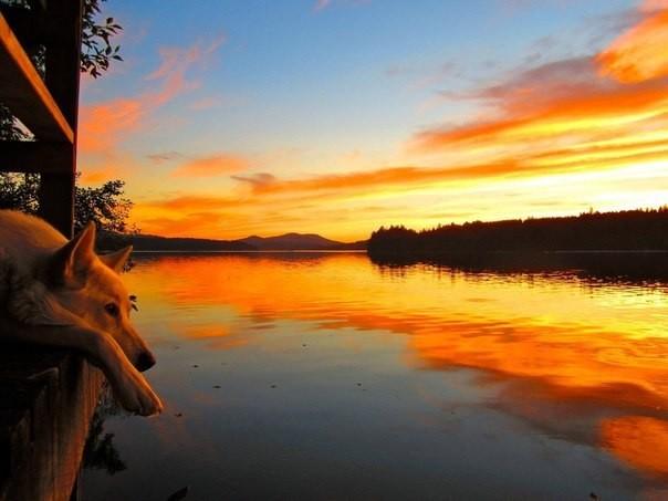 Навеянное (Из цикла: "Стихи, написанные по картинке")