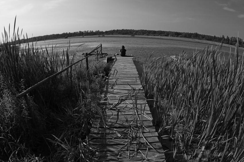 Дорогие мои, хорошие!