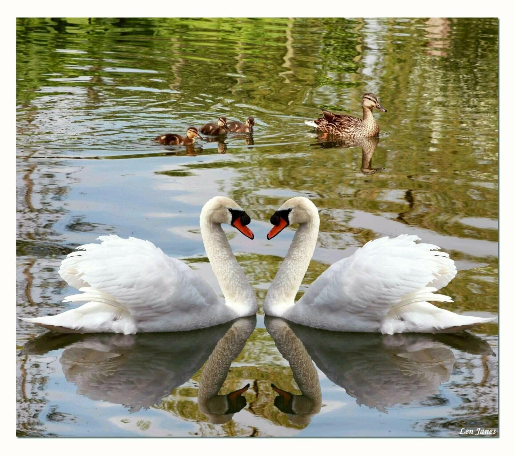 Здравствуй Родина