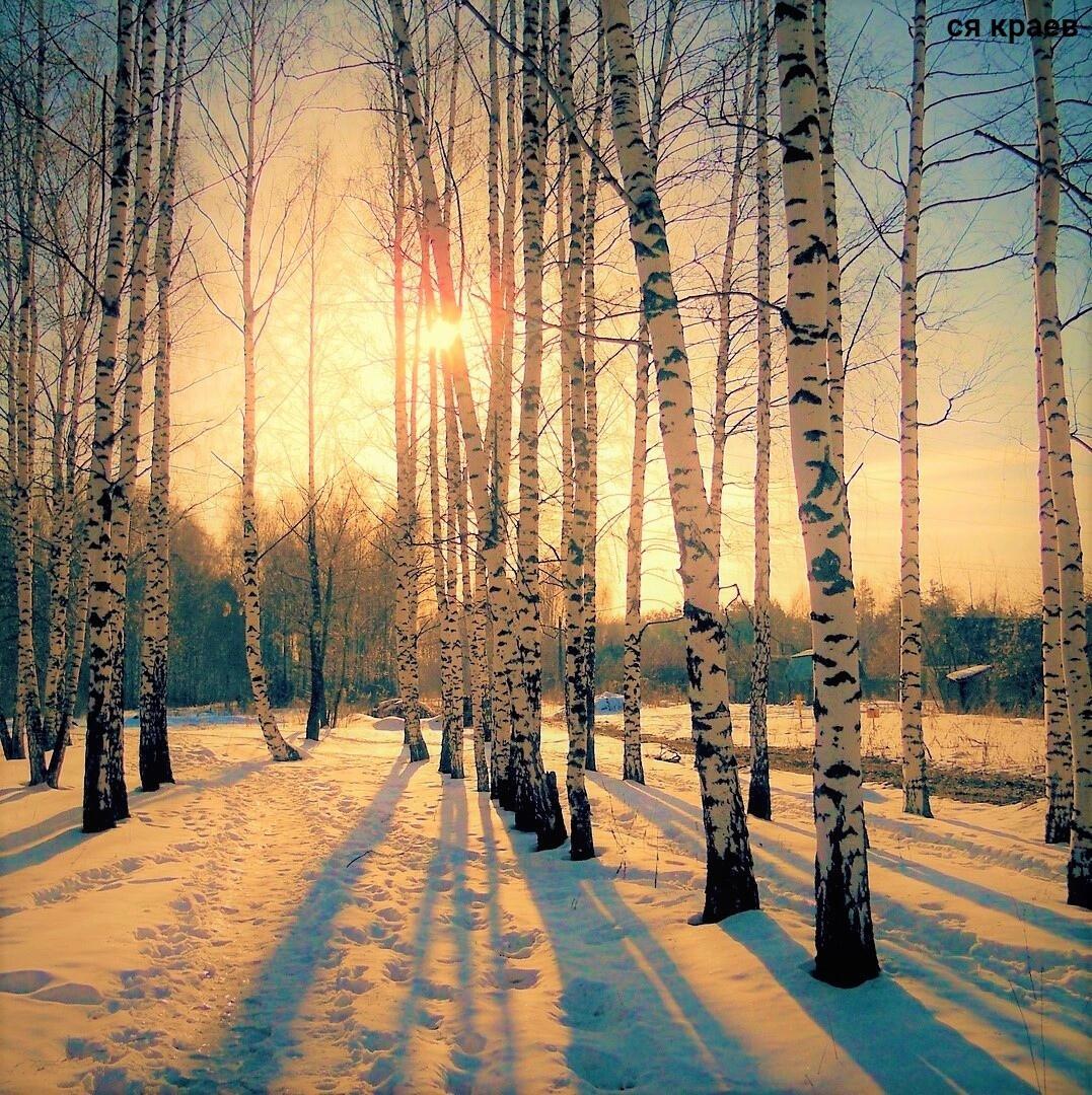 ВЕСНОЙ В БЕРЁЗОВУЮ РУСЬ