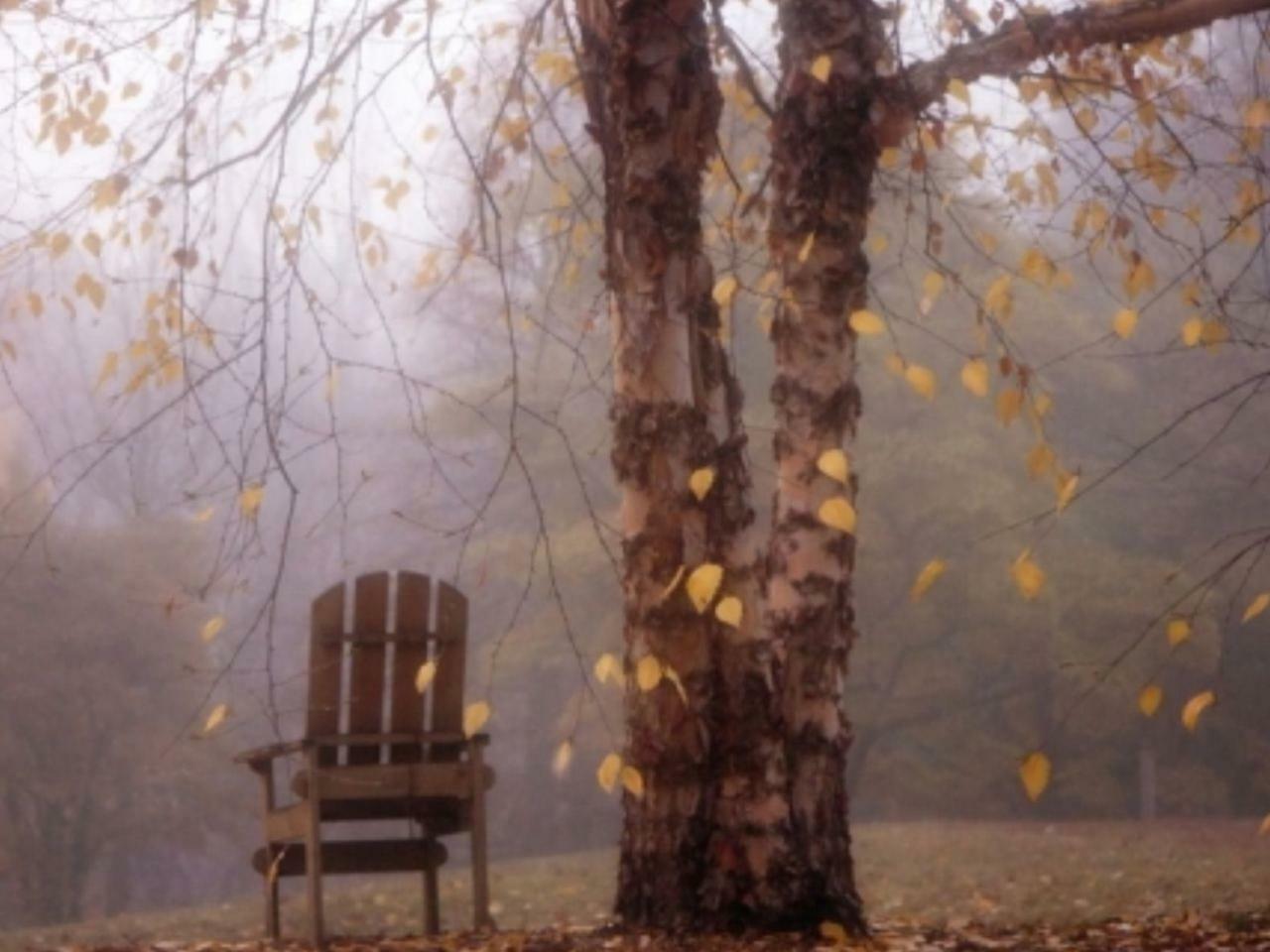 Autumn Sorrow - Осенняя печаль