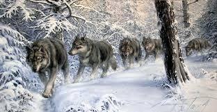 Волчья стая