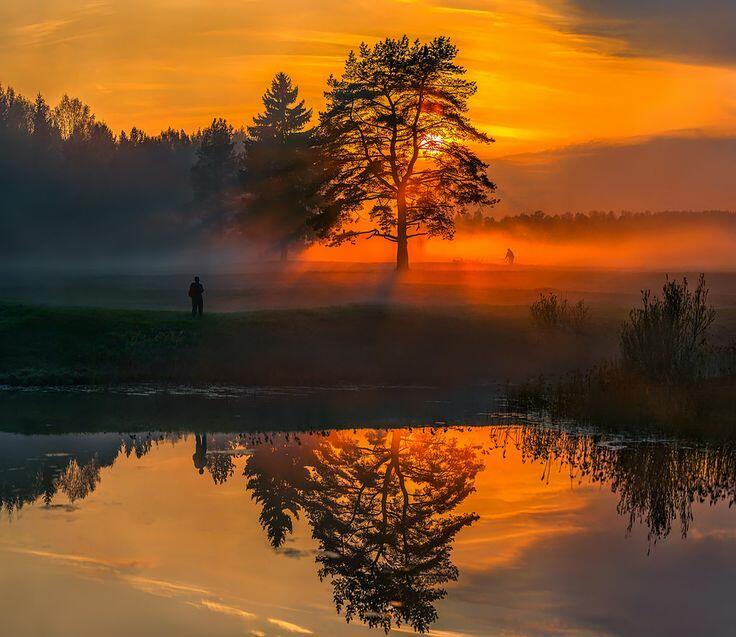 Пять минут тишины