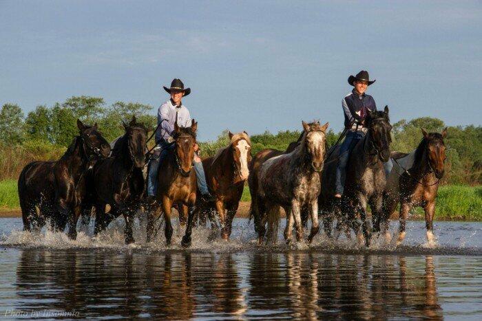 На переправе коней не меняют