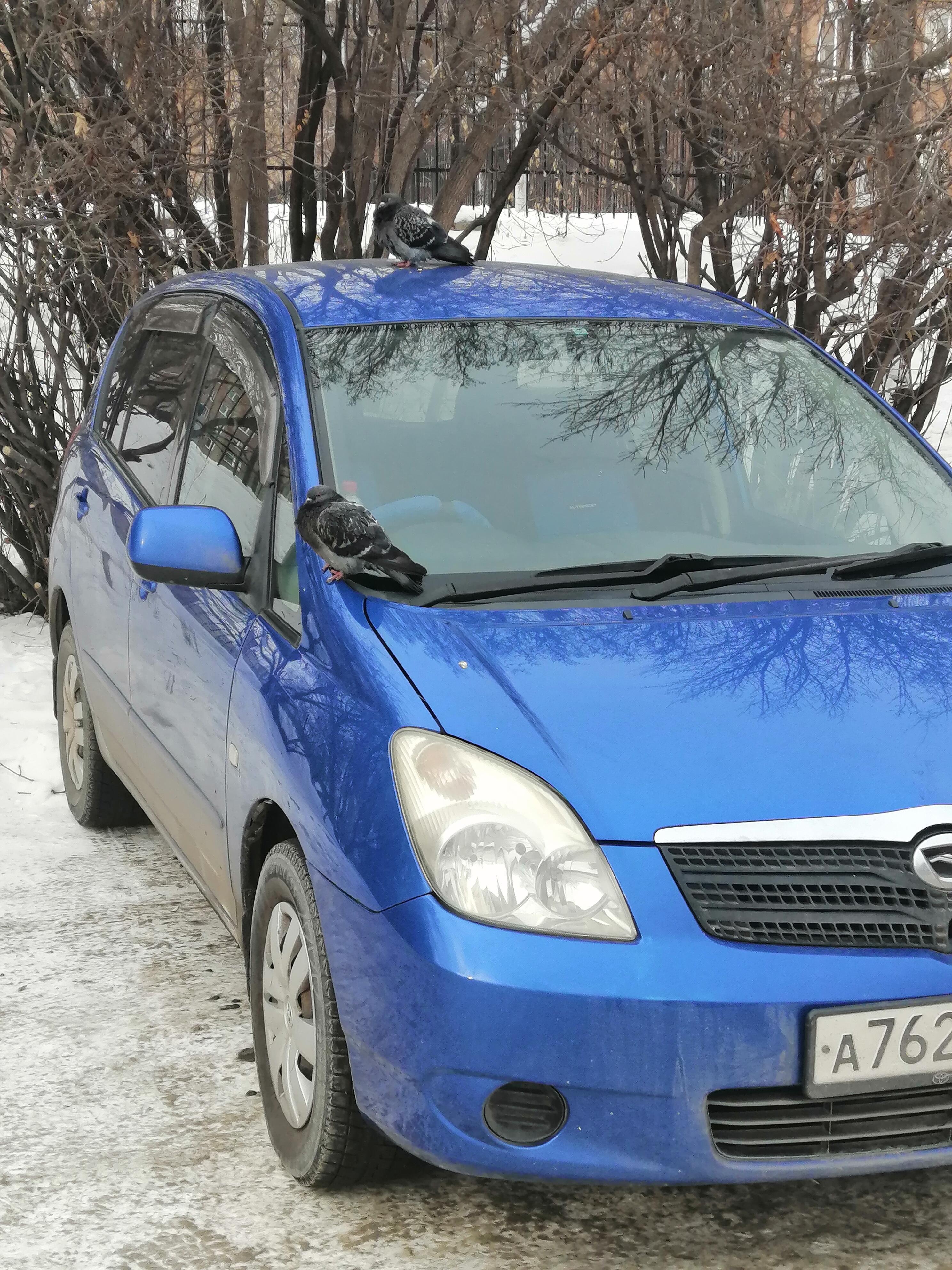 Поиски себя