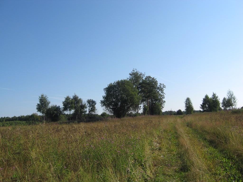 Россия - неизведанный кристалл