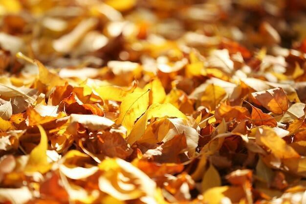 И ВНОВЬ СТИХИ И РИФМЕННАЯ СВЯЗЬ...