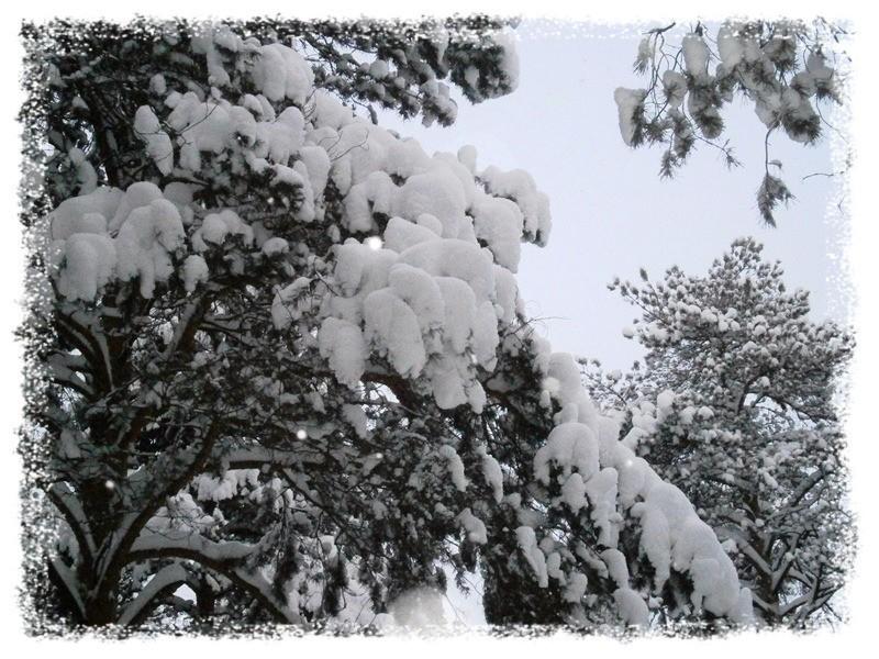 Зима в городе