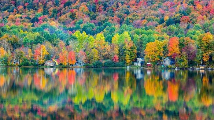 Художница Осень