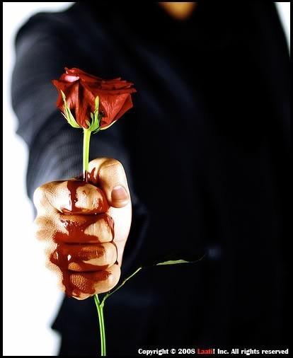 Любовь приходит не одна