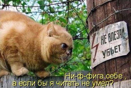 ПОЭМБУК опять мудрит...