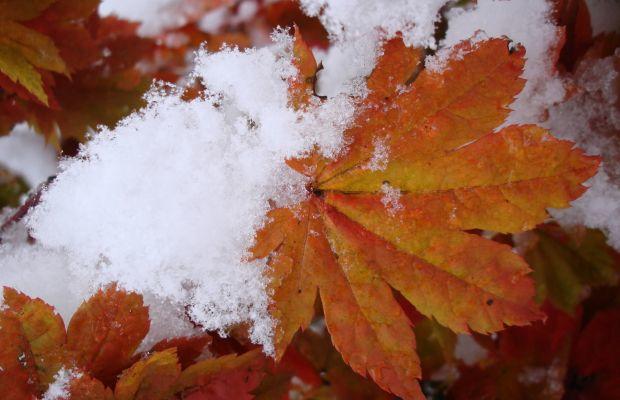 ОСЕНЬ ПРИШЛА