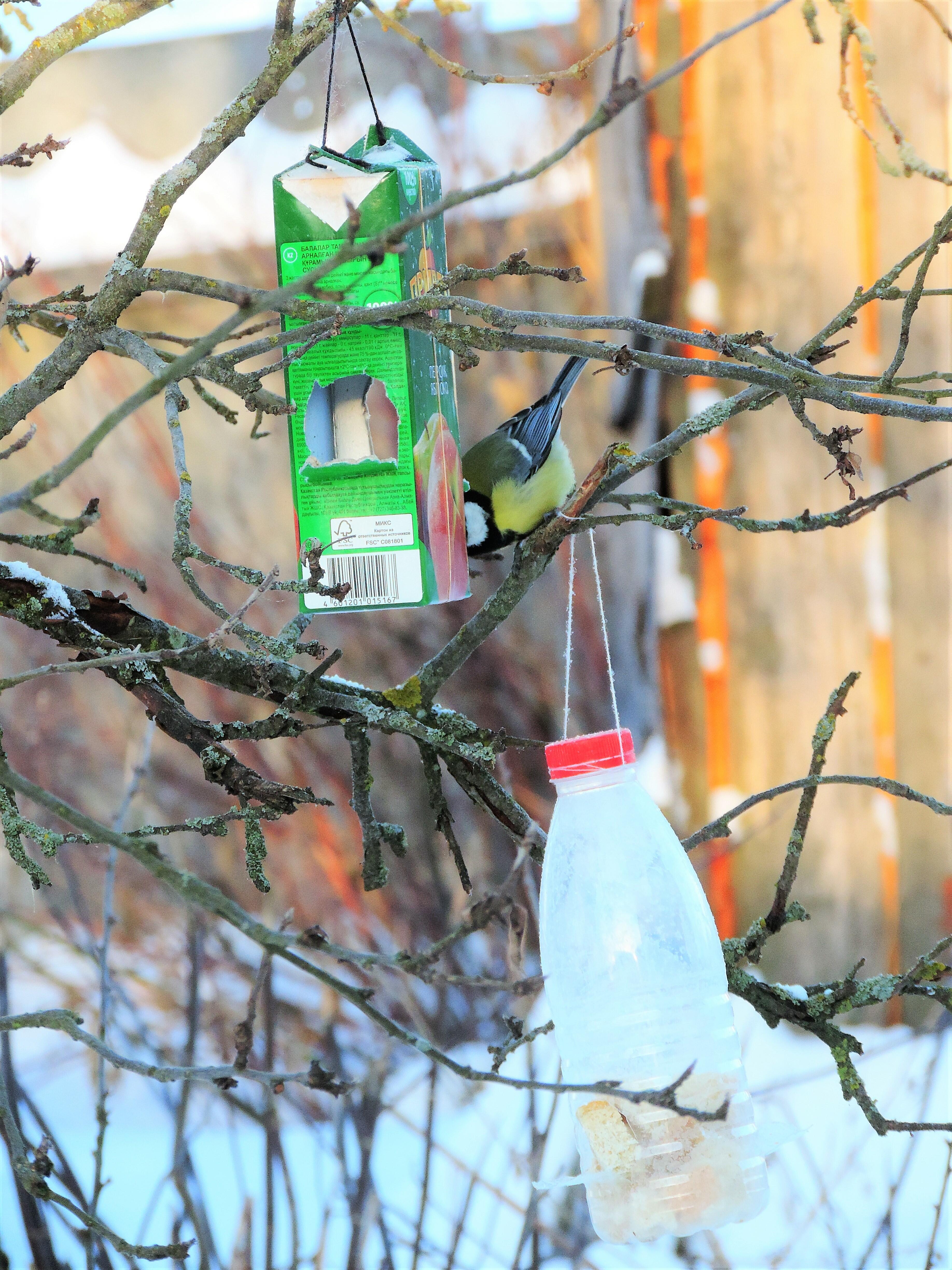 01.02.21. Прежде чем