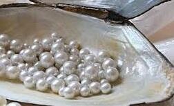 Антивирус - ЛЮБОВЬ! чАСТЬ12