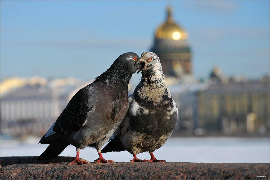 В отдельно взятом городе