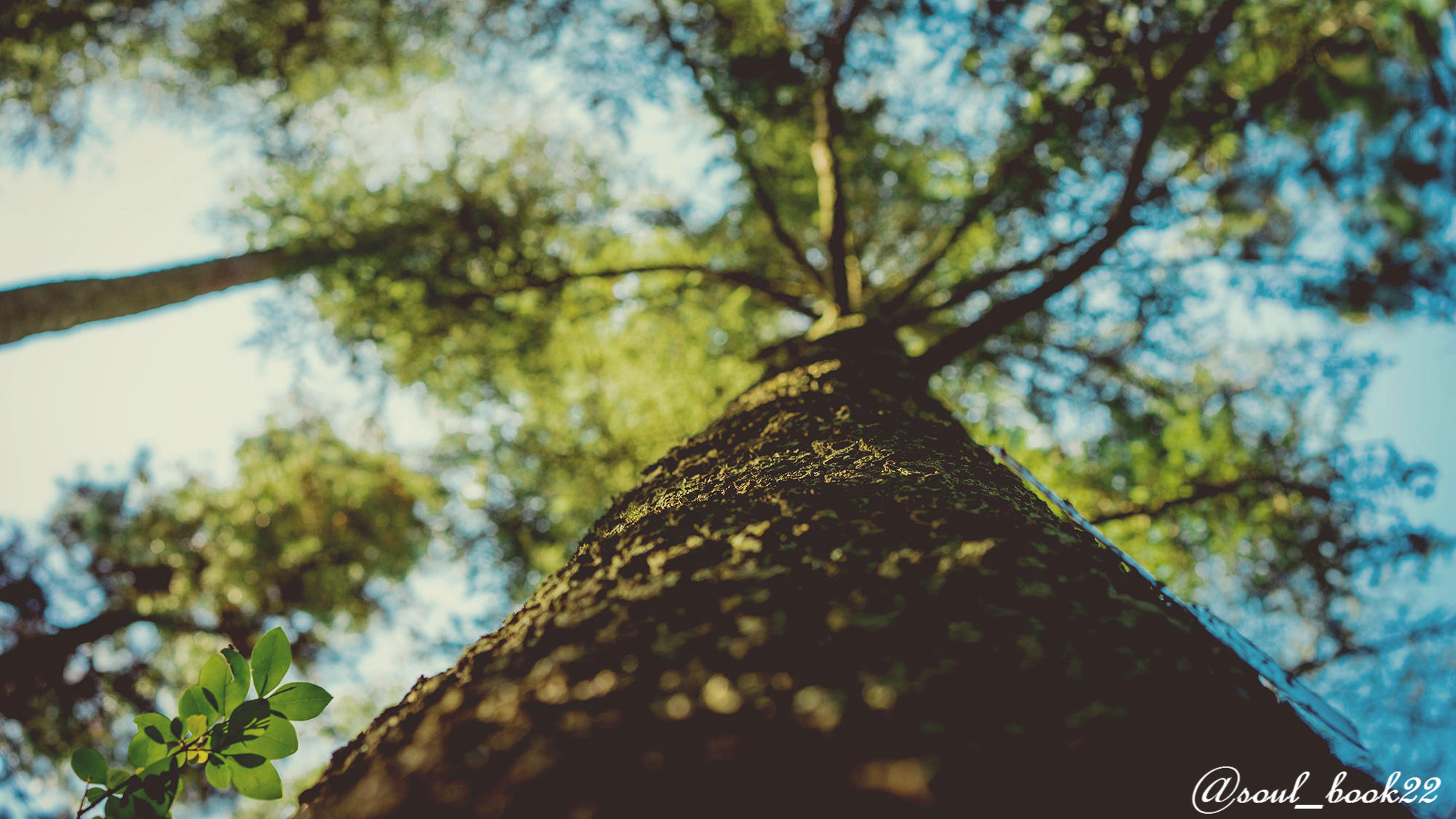 Не смотри мне, прошу, в глаза...