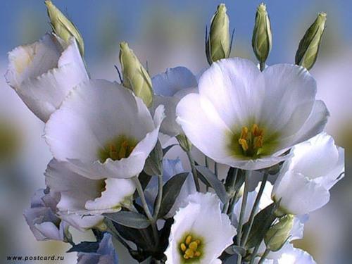 Сегодня солнце в небе ,просто ах!