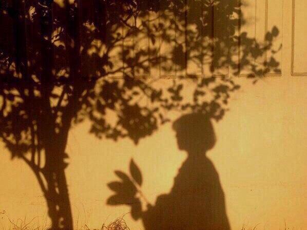 Запах сирени