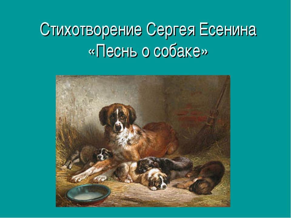 С. Есенин. "Песнь о собаке"
