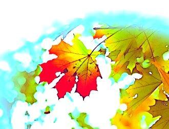 Сместились акценты