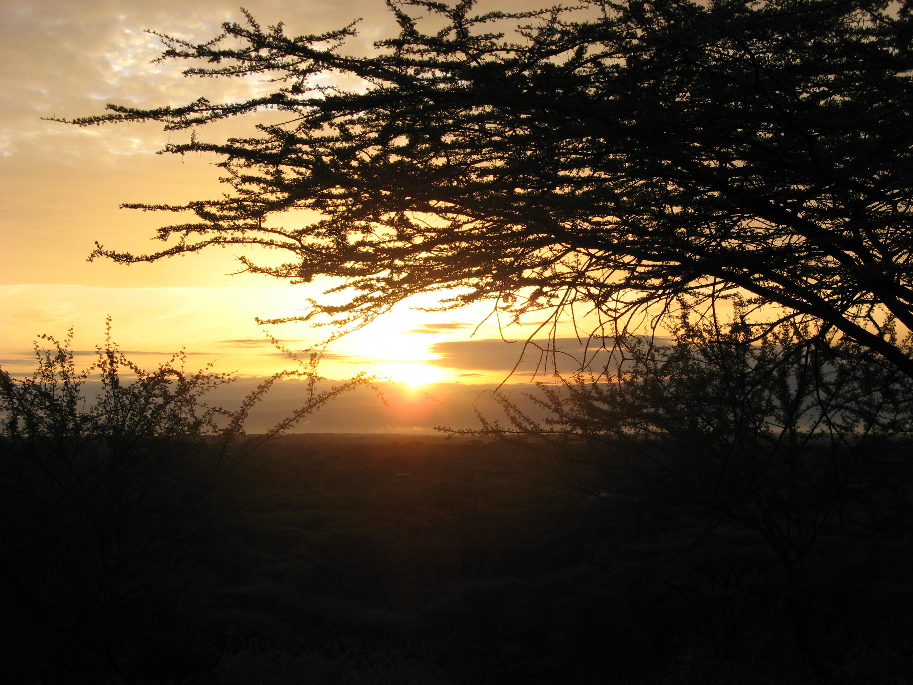 Сколько раненых душ на планете