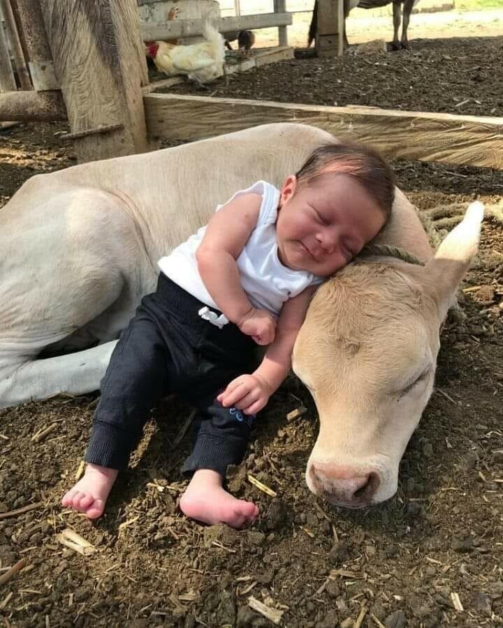 А НАМ ТАК ХОРОШО... ( ФОТО)