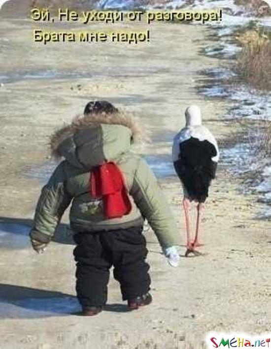 Где взять аиста