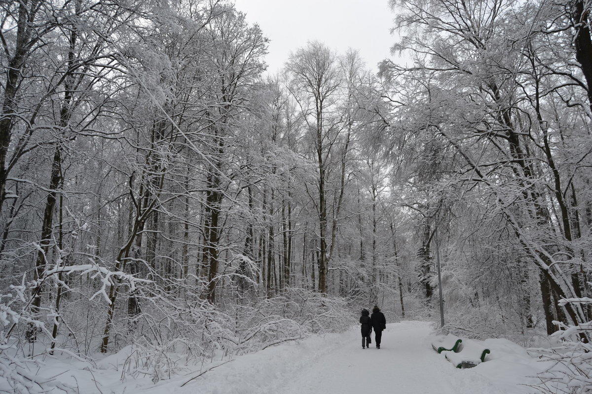 "Мы познакомились с тобой..." (21.08.2018)