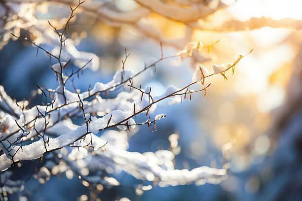 В ЗИМНЕЙ СЛЯКОТИ - ЗАПАХ ВЕСНЫ. ВОКАЛ И МУЗЫКА SUNO