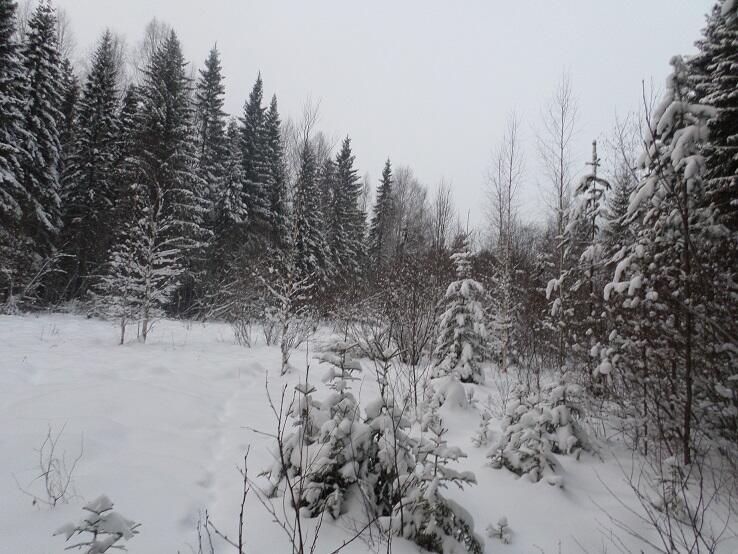 Не так ли и ты, Россия