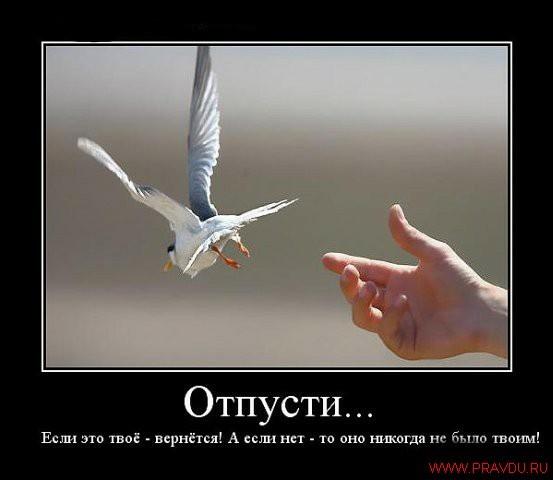 БАНАЛЬНОЕ - НЕНОРМАЛЬНОЕ .