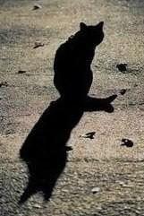 Прожектор-Солнце слепит из-за леса...