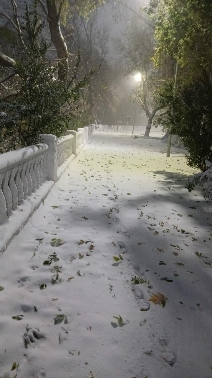 ИЗ ЗАЗЕРКАЛЬЯ