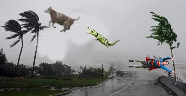 Полный улёт