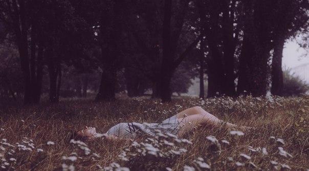 Пить вино из ромашек и трав