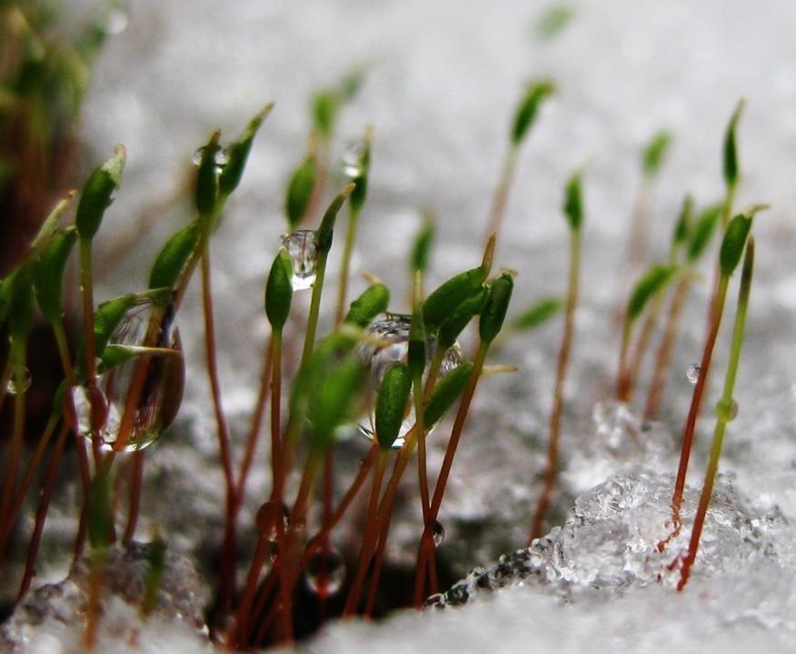 Отчего люди пишут стихи...