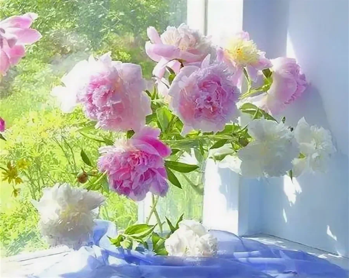 Мой день рождения