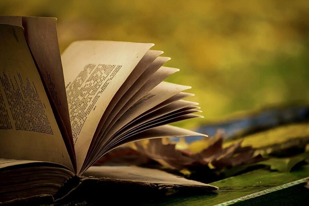 ЧИТАЕТ  ВЕТЕР  О  ЛЮБВИ