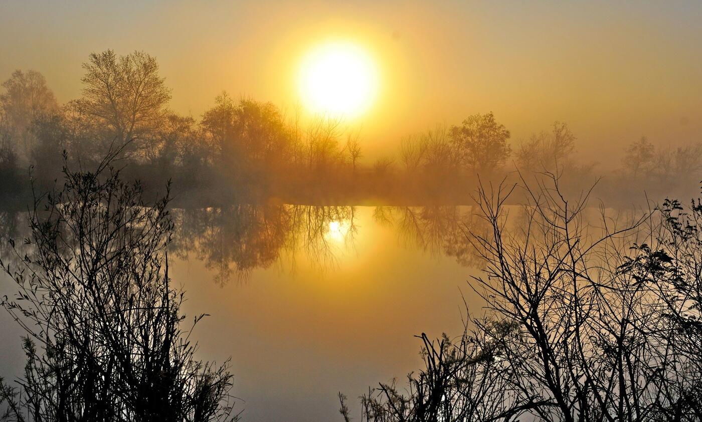 ОСЕНЬ  ДОЛГАЯ  НО  С  НЕЙ  РАССТАЕМСЯ