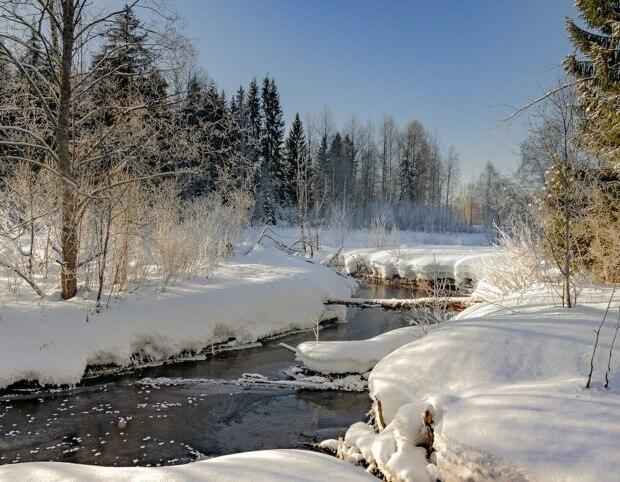 Колеи дороги в шрамах