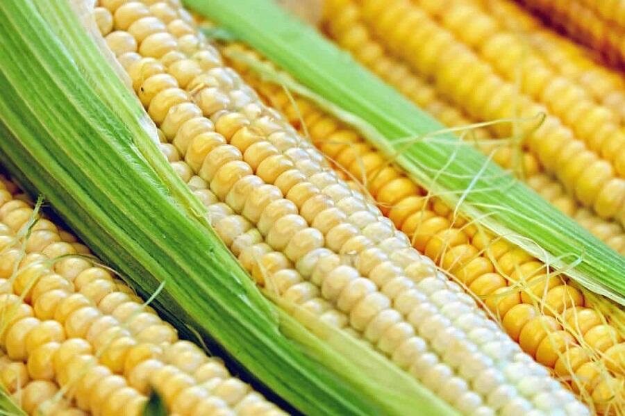 11 июня - День кукурузы в початках - ( если интересно )