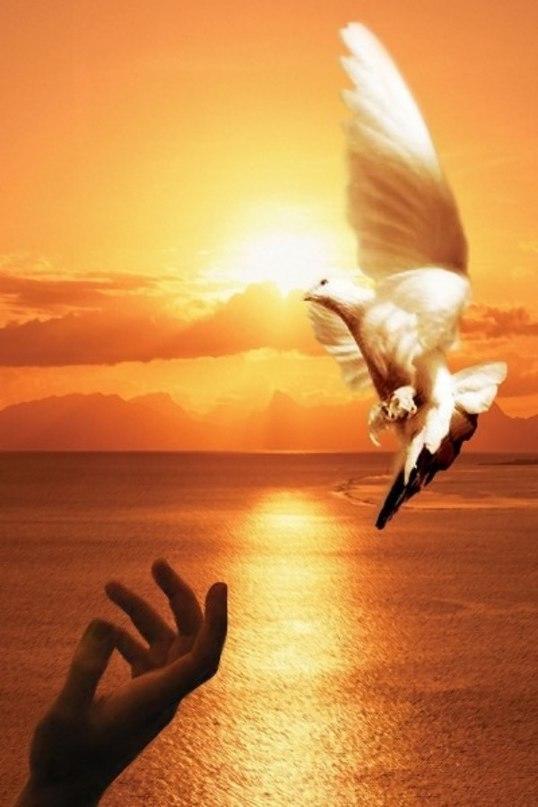 Ответ поэту - Виноградов Вадим - Давай с тобою мы забудем