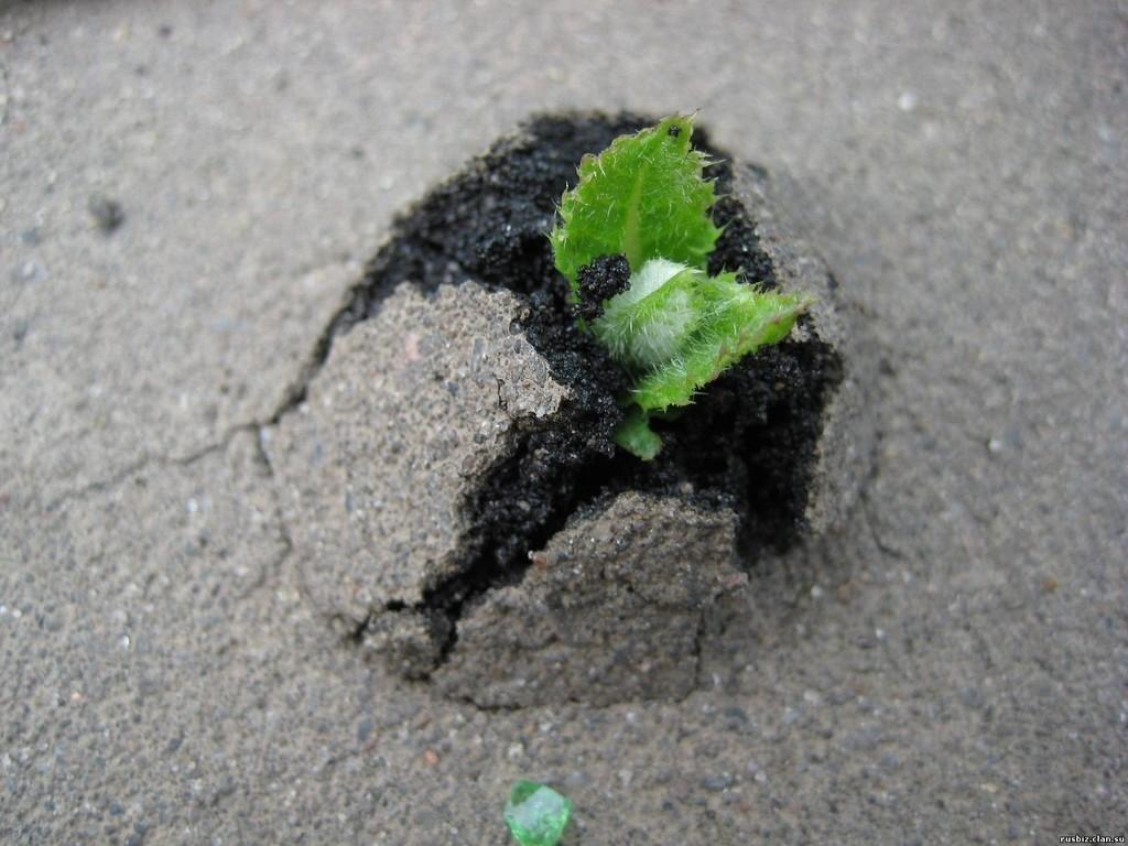 Из мглы к свету...