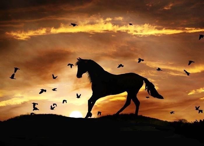 Подари мне несколько минут